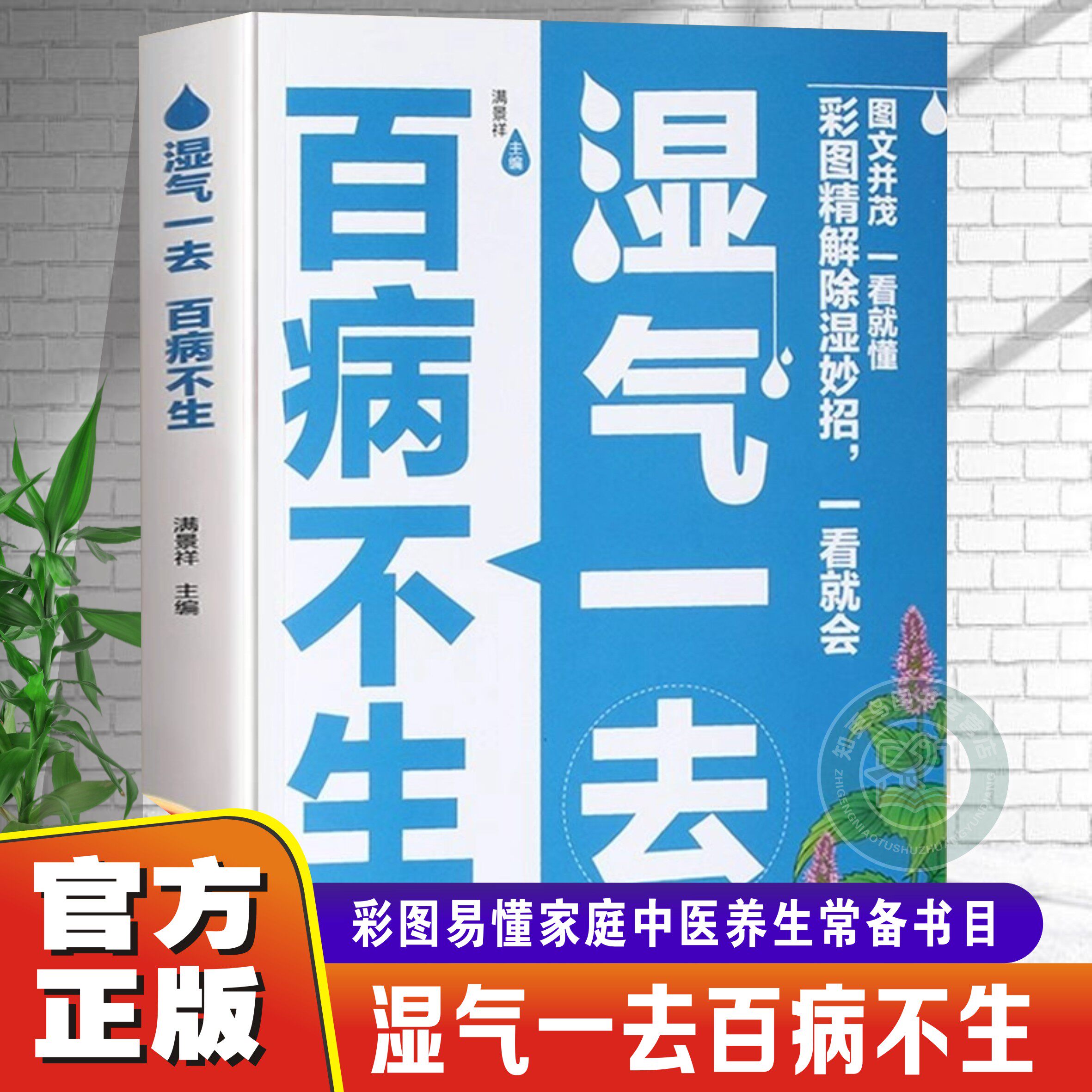 【官方正版】湿气一去 百病不生 大病预防先除湿中医养生书籍大全中医学入门书按摩食疗调理脾胃祛湿调理慢性病常见病防治健康书籍