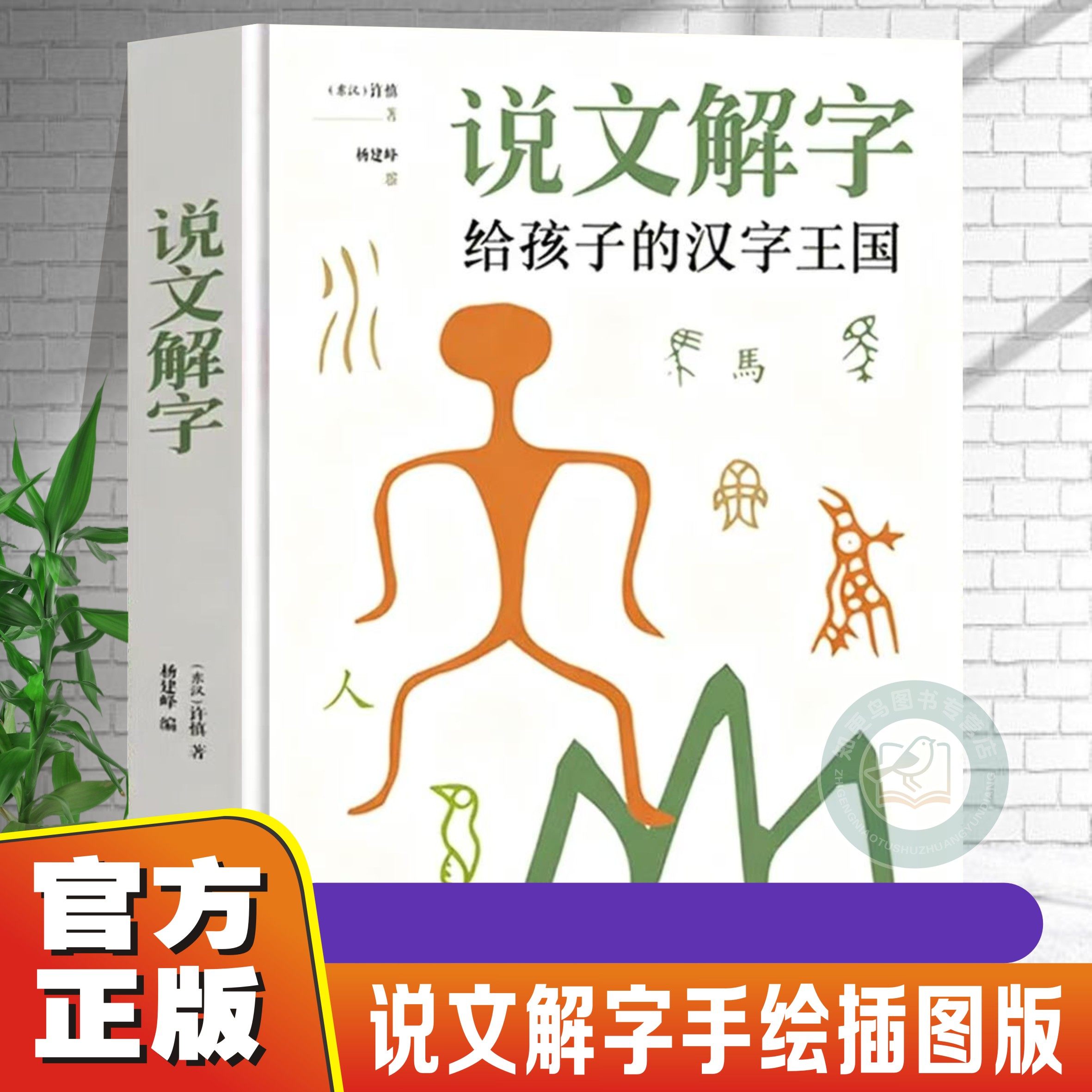 【官方正版】说文解字给孩子的汉字王国 许慎著加厚版400页字典插图手绘版讲述汉字发展演变了解汉字的前世今生象形文字演变识字书