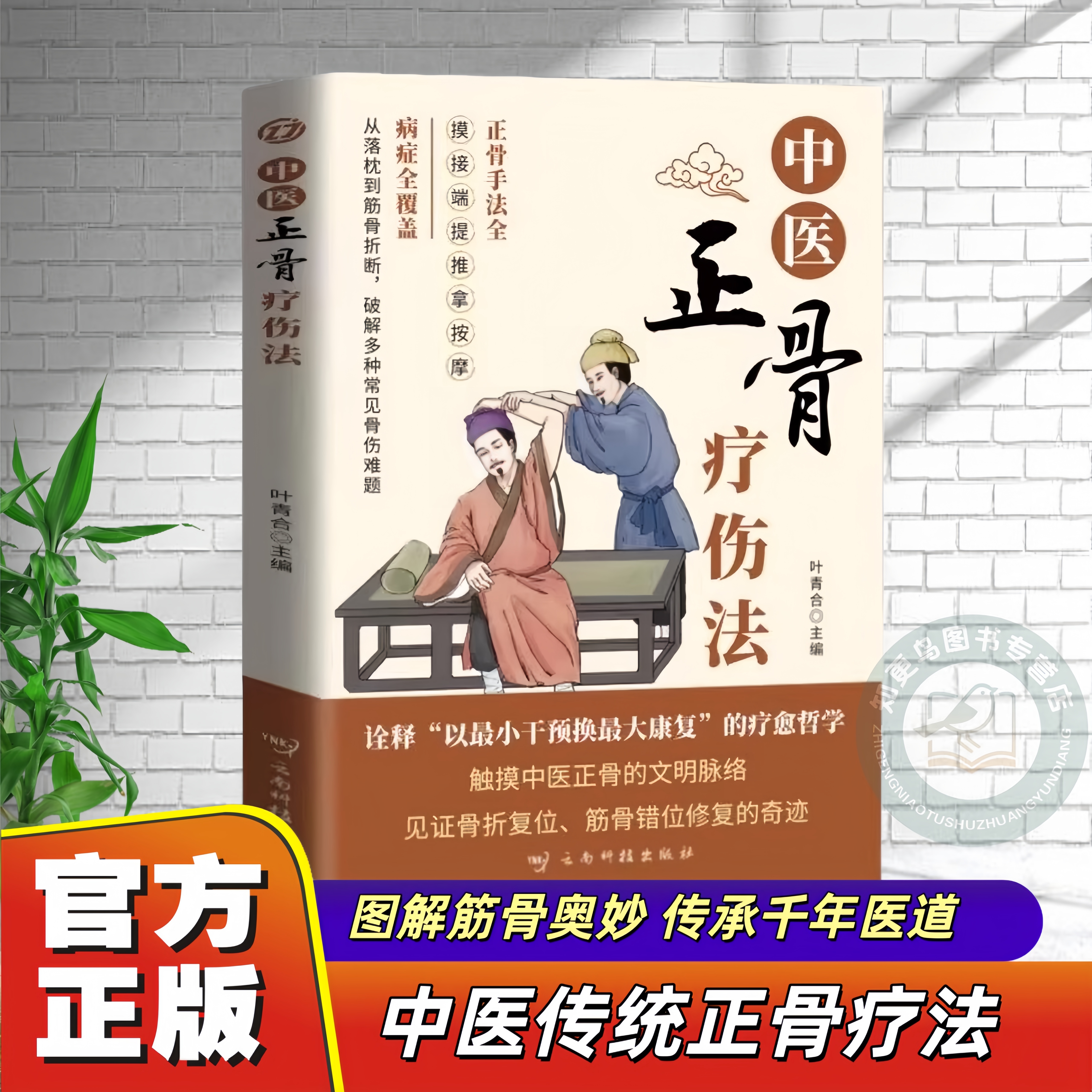 中医骨科中医正骨疗伤法中医养生