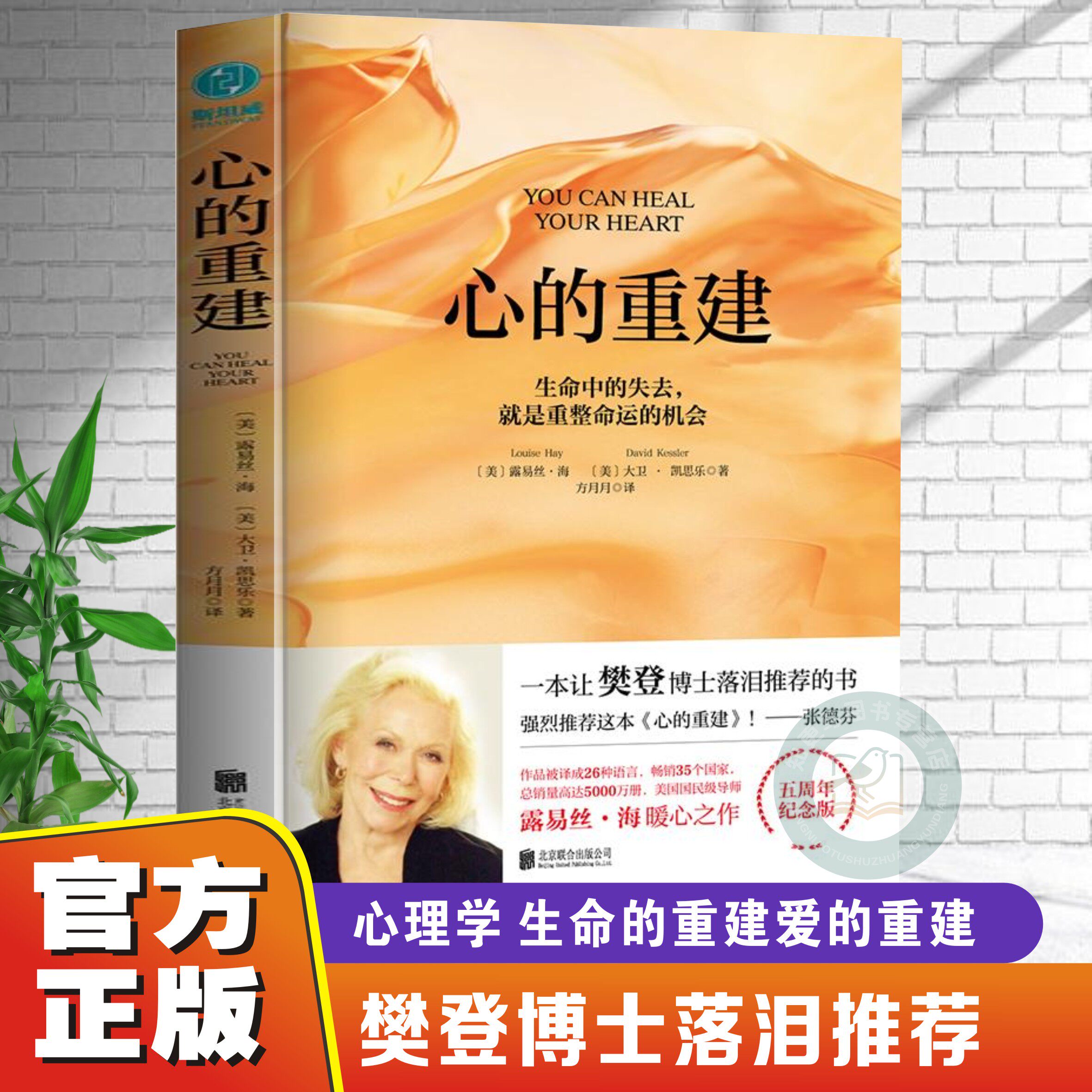 【正版】心的重建 5周年纪念版 (美)露易丝·海 大卫·凯思乐 著 方月月译 走出焦虑抑郁治愈心理健康社科心理学心灵疗愈励志书籍