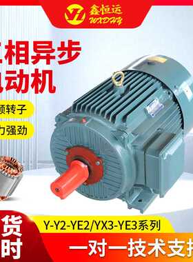 YE3三相异步电动机YE3-180M-22KW马达电机2级380V机械交流电机