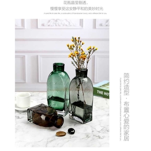 北欧风玻璃花瓶桌面客厅鲜花干花水养家用插花创意简约工艺品摆件
