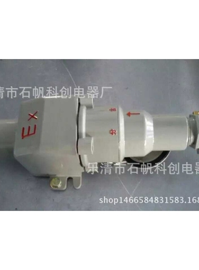 BCD-32Z防爆插接装置 BCZ54  3p+N+pE TYPE BJ-60YT AC500V
