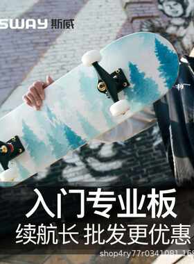 sway斯威厂家 成人刷街四轮滑板儿童初学者青少年滑板双翘板