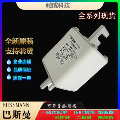 巴斯曼170M5929 170M5930 170M5931 加工制作量大价优 方体熔断器