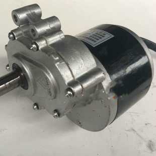 叶子叶子24V250W2级减速电机轮椅电机75转120转