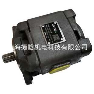 HYTEK 伺服齿轮泵 HG1 VSC SUNNY PUMP HYDRAULIC 01R