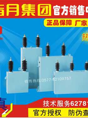 指月高压并联电容器BFM11/3-250-1W,BAM11/3-250-1W,BWM11-250-1