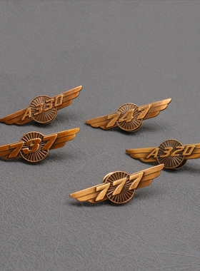 美国BEOING波音747 737 AIRBUS空客A380 320复古黄铜徽章胸章胸针