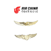国航金属徽章 飞行总队飞行总动员金色翅膀胸章纪念章 航空收藏品
