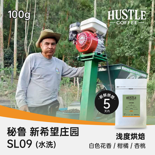 HUSTLECOFFEE秘鲁新希望庄园SL09水洗花香柑橘精品咖啡豆100克