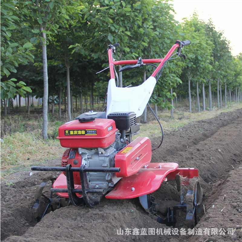 多功能汽油微耕机两驱直连大马力耕地机旋耕松土锄草开沟机整地机,鲜花速递/花卉仿真/绿植园艺,其它园艺用品,淘宝优惠券,粉丝福利购,淘宝优惠卷