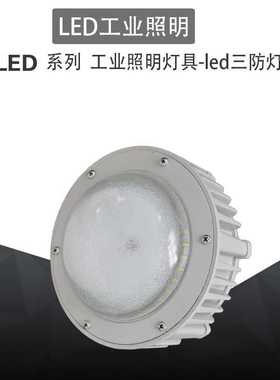 防爆灯LED  FGV6207-LED50LED三防工厂灯平台灯工业照明灯具现货