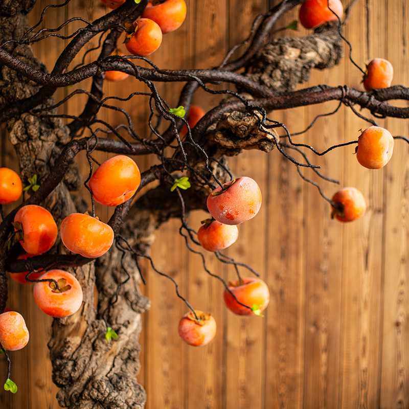 仿真藤条柿子果树枝壁挂式高档吊柿子盘藤造景道具装饰树仿真花,玩具/童车/益智/积木/模型,垂直悬浮玩具,淘宝优惠券,粉丝福利购,淘宝优惠卷