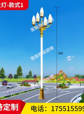 华光5.6米9火8.1q米九头白玉兰路灯户外灯高杆路灯景观广场灯