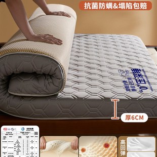 乳胶床垫软垫家用卧室海绵垫子宿舍学生单人床租房专用榻榻米新款
