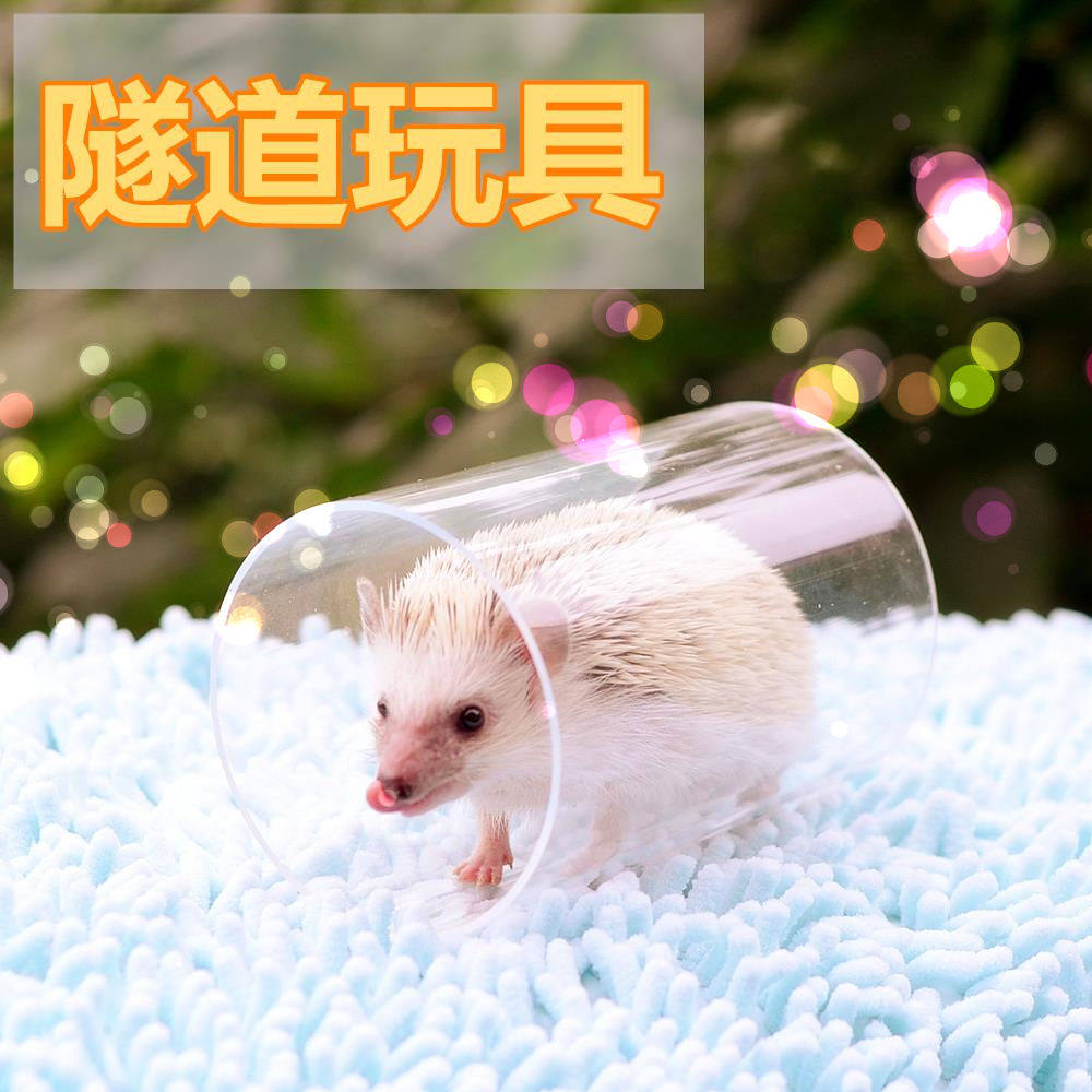 刺博士刺猬透明隧道玩具 松鼠龙猫玩具钻筒超大超透明