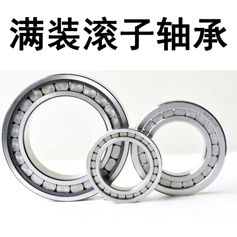 哈尔滨满装圆柱滚子轴承 SL045005 SL045006 SL045007 SL045008