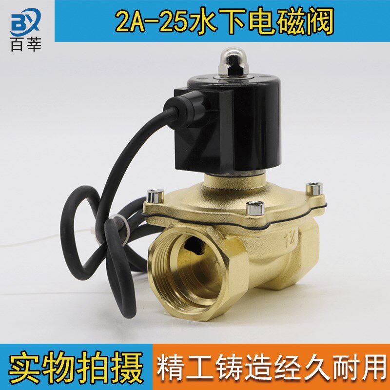 1寸 水下专用电磁阀/防水/跑泉/喷泉电磁阀 2A25 DN25AC220V