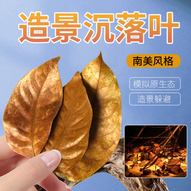 南美缸造景沉落叶原生装饰榄仁乌龟叶躲避屋水草鱼缸摆件天然生态,畜牧/养殖物资,畜牧/养殖器械,淘宝优惠券,粉丝福利购,淘宝优惠卷