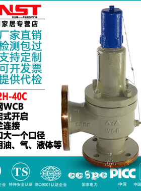 A42Y H40 WCB铸钢弹簧全启式 全封闭法兰安全阀 DN15DN250