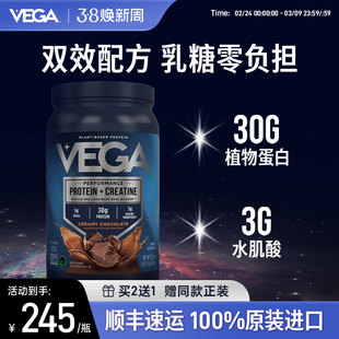 【买2送1】VEGA蛋白粉肌酸植物蛋白质粉水肌酸美国进口运动提升
