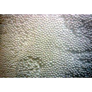 废旧泡沫造粒机EPS造粒机EPE造粒机珍珠棉造粒机,五金/工具,造粒机,淘宝优惠券,粉丝福利购,淘宝优惠卷