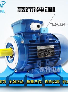 三包YEB三相异步电动机国标电机全铜马达v卧式