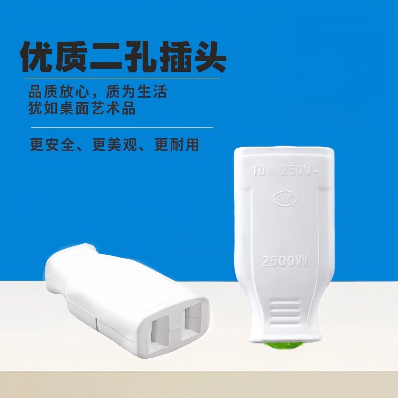 电源插头母头国标二脚母插头无线2孔小插座10A公母插头座