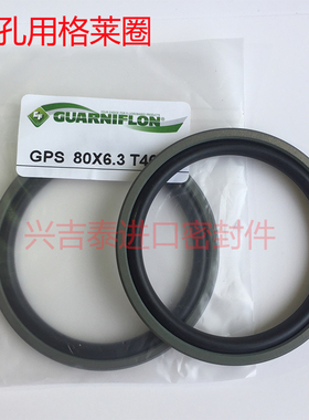 孔用格莱圈进口意大利GF PG GPS RS GCR轴用斯特封 GSZ AL5型尘封