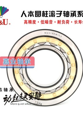 人本圆柱滚子轴承 N NJ NU NUP 2304 2305 2306 2307 2308 EM/C3