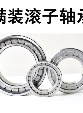 哈尔滨满装圆柱滚子轴承 SL045005 SL045006 SL045007 SL045008