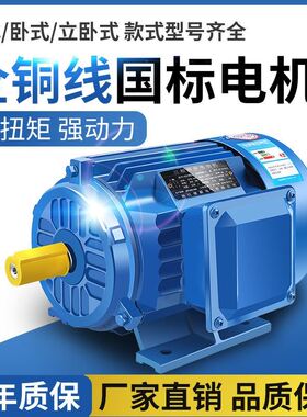 三相异步电动机11千瓦15/22/3千瓦4kw55/75马达国标电机380v