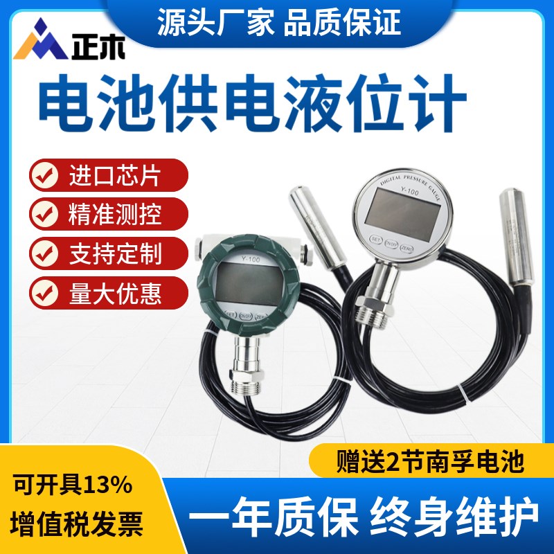 ZM-FT-Y100 高精度数显电池供电液位计 防爆数字投入式显示表Y100