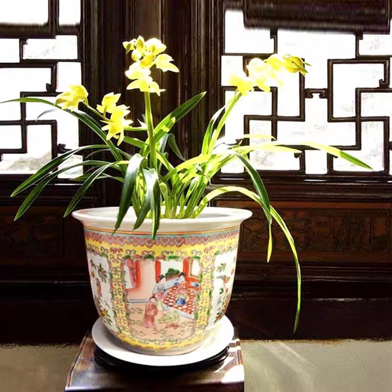 花钵景德镇陶瓷花盆树盆手绘粉彩新中式兰花盆人物花鸟室内兰花,畜牧/养殖物资,畜牧/养殖器械,淘宝优惠券,粉丝福利购,淘宝优惠卷