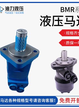 OMR液压马达BM2/BMR50/63/80/100/125/160/200/250/315/400油马达