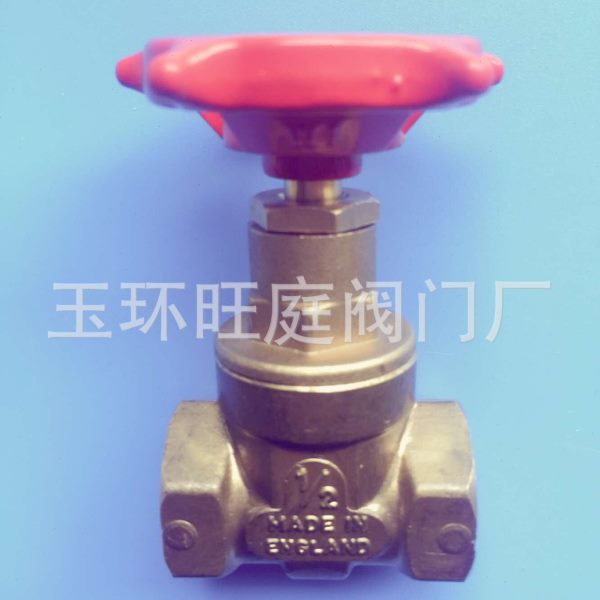 各种 闸阀dn110 DN63 600 80 法兰闸阀dn65 dn200  潜污泵闸阀