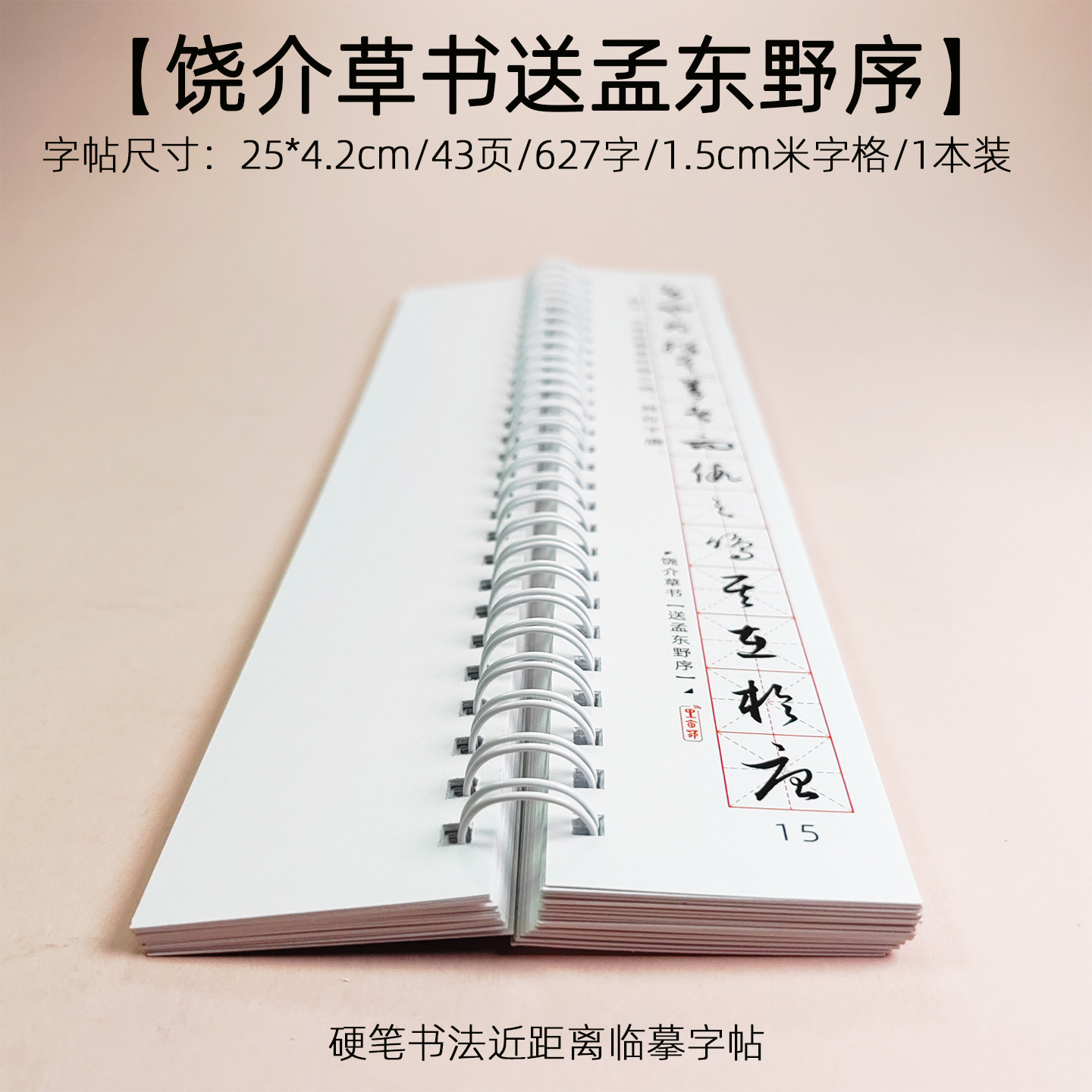 硬笔草书入门临摹饶介送孟东野序