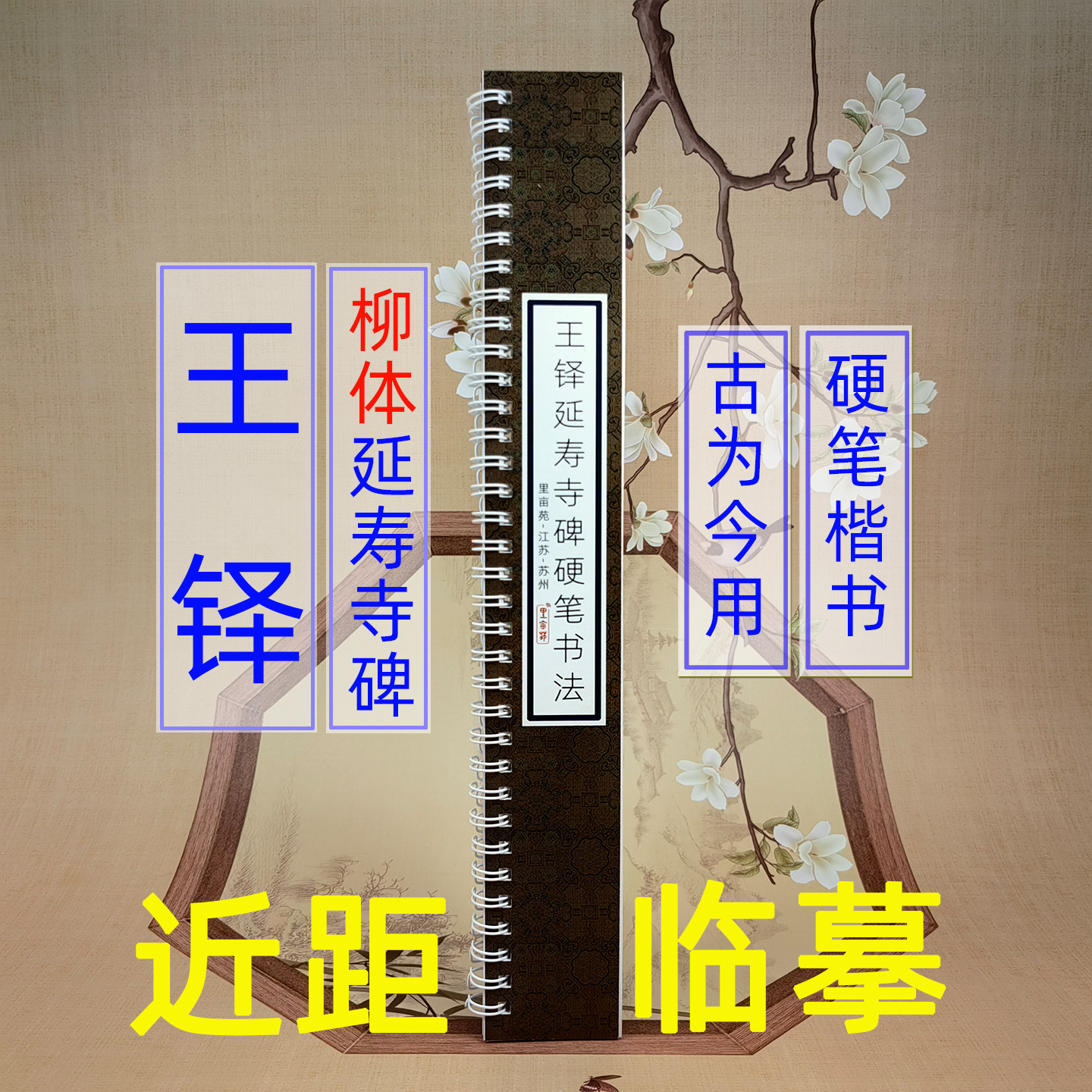 实用字帖高效练字 硬笔字帖柳体楷书控笔训练米字格 王铎延寿寺碑初学成人钢笔书法秀丽笔练字近距离临摹字卡