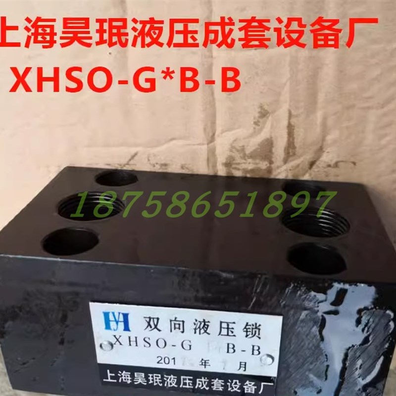 XHSO-G8B-L XHS0-G8B-I G8B-1双向液压锁 上S海昊珉液压成套设备