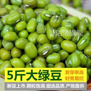 大粒绿豆新货农家绿豆去皮脱皮绿豆糕饼绿豆汤材料新鲜豆芽笨绿豆
