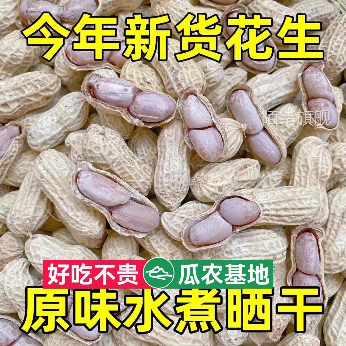 龙岩花生蒜香五香咸干水煮花生米晒干带壳炒货解馋小零食散装坚果