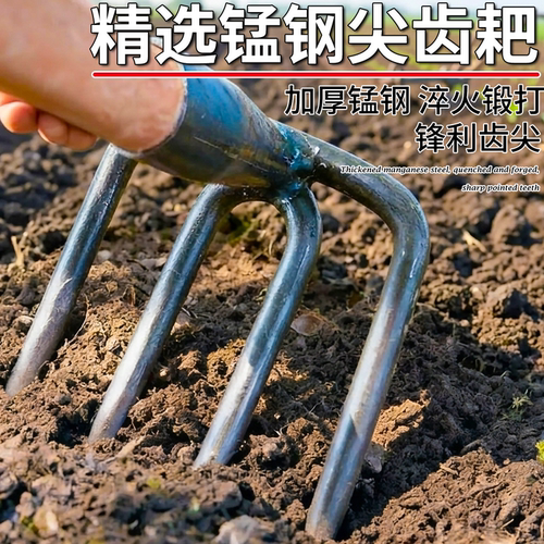 翻地松土钢耙二齿两齿三齿铁耙子