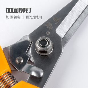 电镀锰钢剪刀园艺工具修枝剪果剪摘果剪柑橘桔子葡萄采果剪花枝剪
