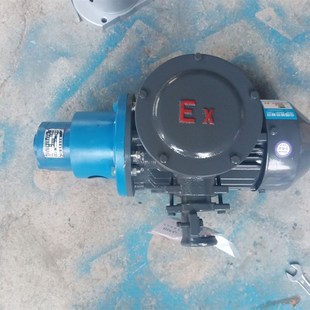 B25防爆齿轮油泵电机组CB B20 B125防爆机组 B16