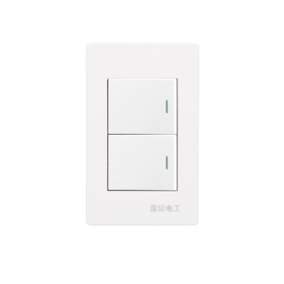 国际电工雅白120型开关插座墙壁面板双开双联 2位2开小盒二开双控