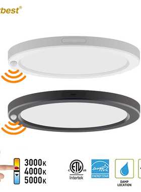 12寸极薄面板灯120v卧室客厅吸顶灯80CRI低频闪三色温天花灯