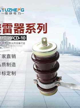 陶瓷避雷器Y5WZ Y5WR Y5WS-17/50 12.7/45电站型 电动机保护用