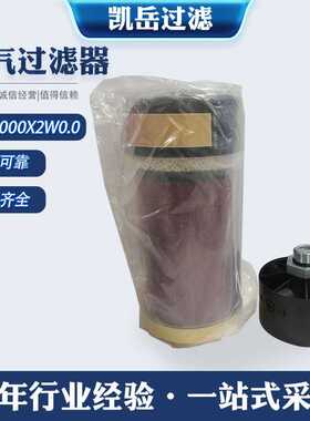 厂家BDE1000X2W0.0空气过滤器净化除尘呼吸干燥过滤器空气滤清器