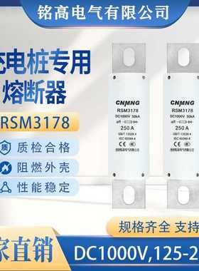 DC1000V充电桩熔断器RSM3178熔断器(RS309,FWH100A,HEV,HBE)200A